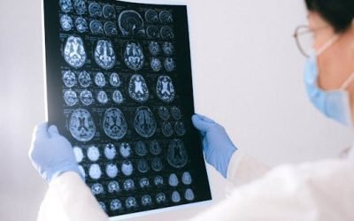 Cómo crear y optimizar un lead magnet efectivo: la clave para atraer y convertir leads